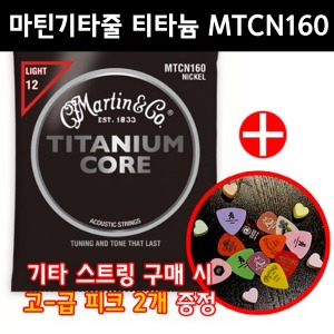 마틴 스트링 MTCN160 티타늄 코어 라이트 TITANIUM CORE (012-055)